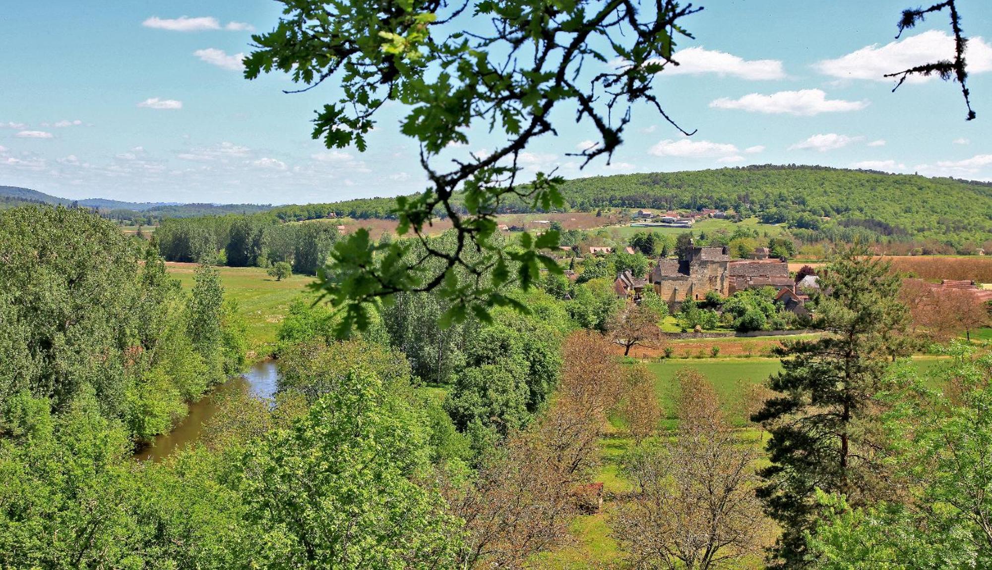 Auberge De Castel-Merle Sergeac Bagian luar foto